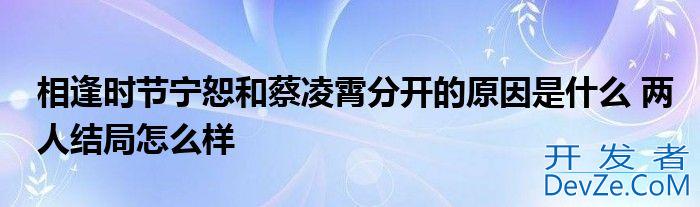 相逢时节宁恕和蔡凌霄分开的原因是什么 两人结局怎么样