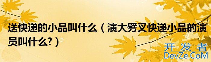 送快递的小品叫什么（演大劈叉快递小品的演员叫什么?）