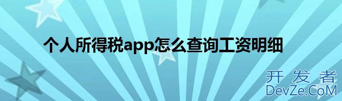 个人所得税app怎么查询工资明细