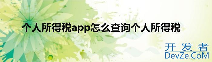 个人所得税app怎么查询个人所得税