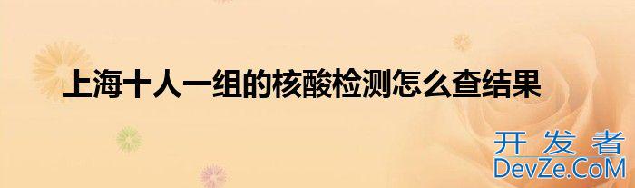上海十人一组的核酸检测怎么查结果