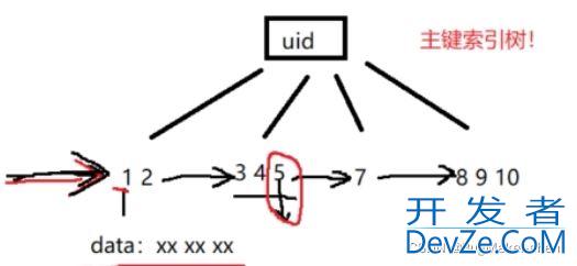 InnoDB主键索引树和二级索引树的场景分析