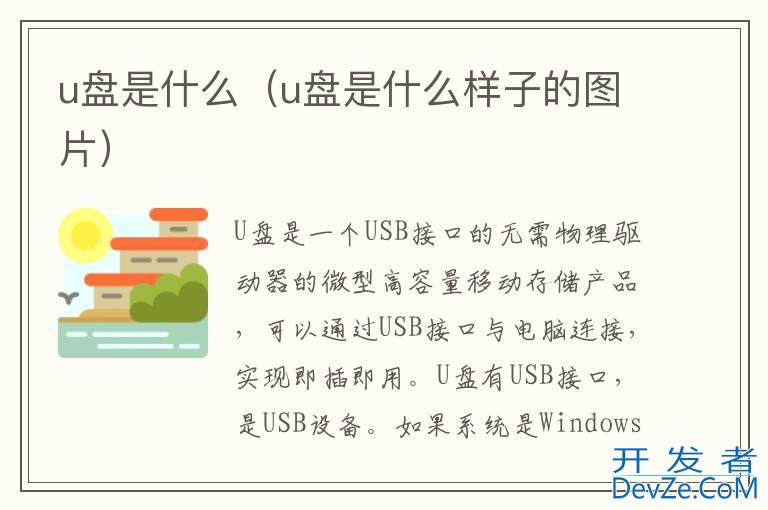 u盘是什么（u盘是什么样子的图片）