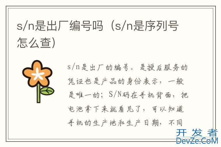 s/n是出厂编号吗（s/n是序列号怎么查）