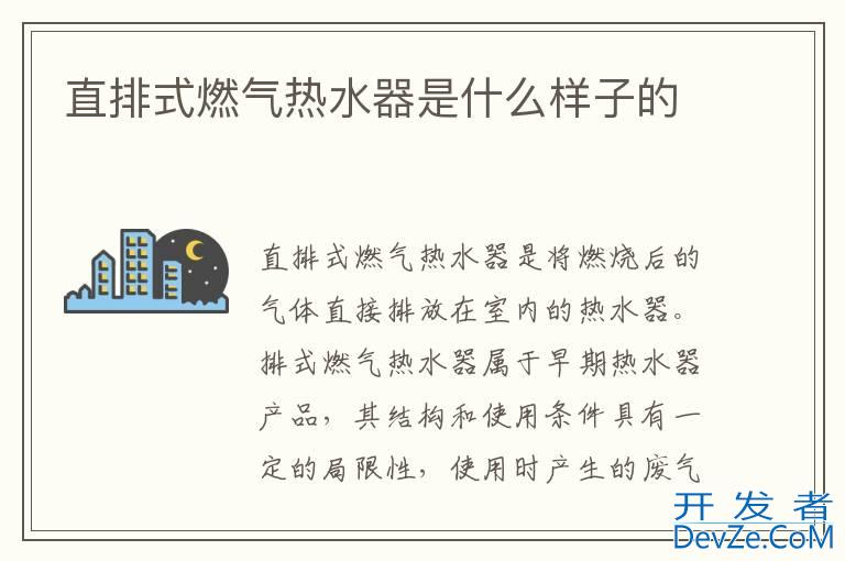 直排式燃气热水器是什么样子的