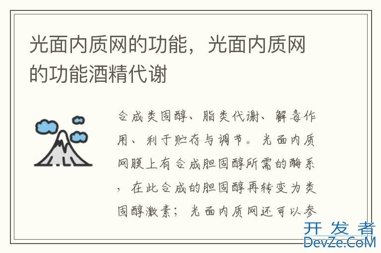 光面内质网的功能，光面内质网的功能酒精代谢