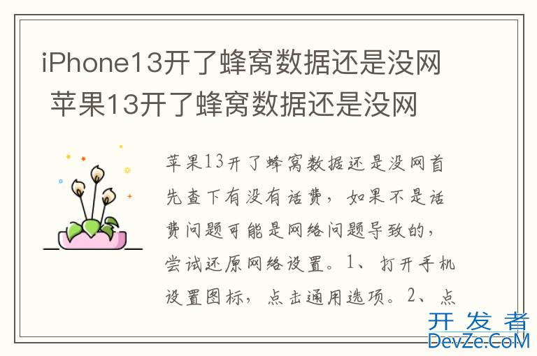 iPhone13开了蜂窝数据还是没网 苹果13开了蜂窝数据还是没网