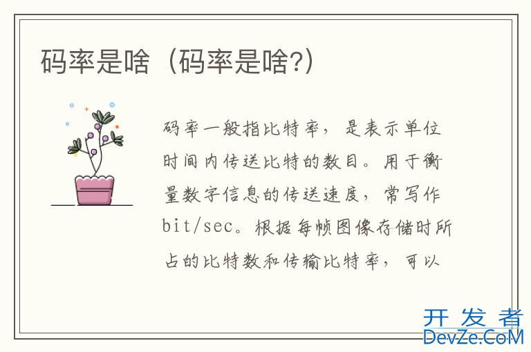 码率是啥（码率是啥?）