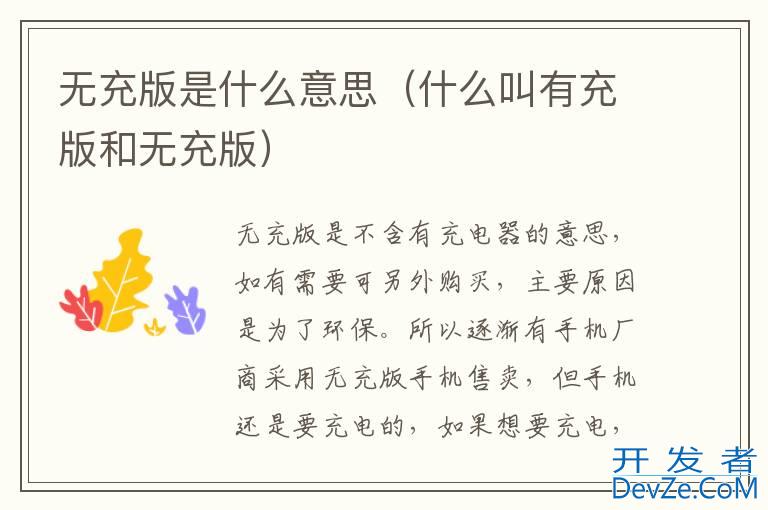 无充版是什么意思（什么叫有充版和无充版）