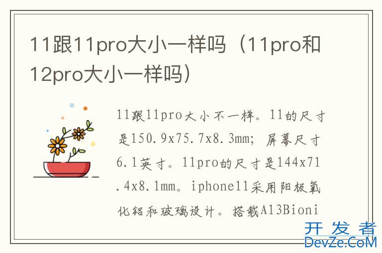 11跟11pro大小一样吗（11pro和12pro大小一样吗）