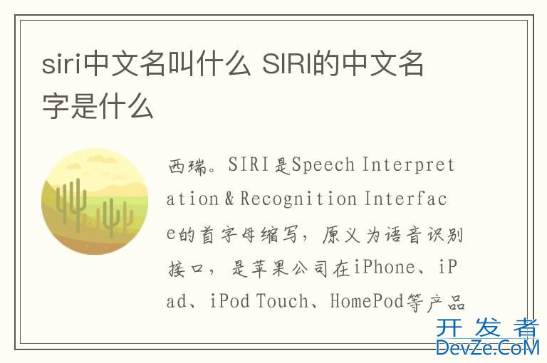 siri中文名叫什么 SIRI的中文名字是什么