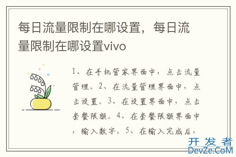 每日流量限制在哪设置，每日流量限制在哪设置vivo