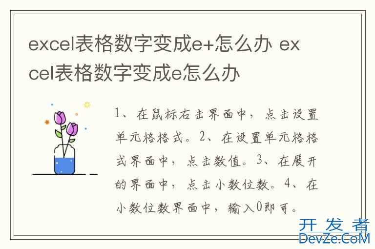 excel表格数字变成e+怎么办 excel表格数字变成e怎么办
