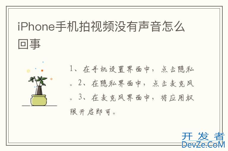 iPhone手机拍视频没有声音怎么回事