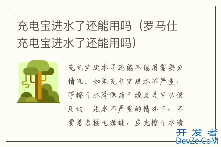充电宝进水了还能用吗（罗马仕充电宝进水了还能用吗）