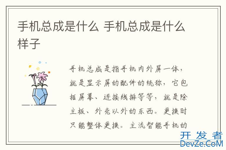 手机总成是什么 手机总成是什么样子
