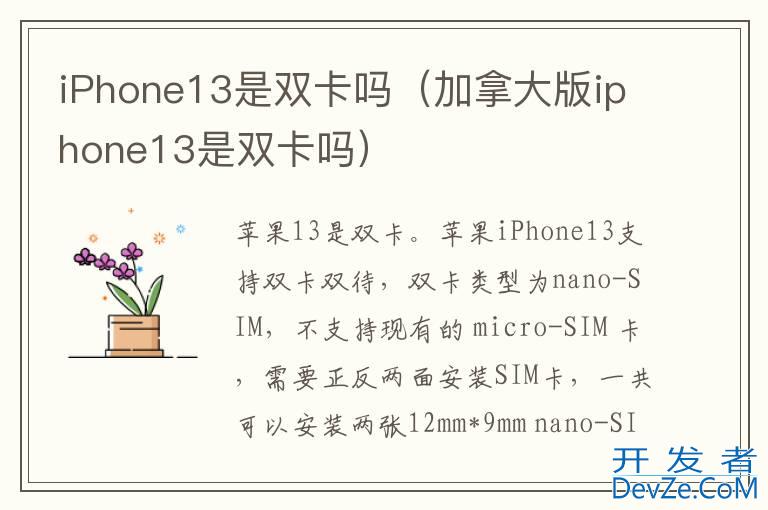 iPhone13是双卡吗（加拿大版iphone13是双卡吗）