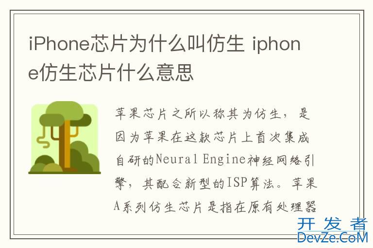 iPhone芯片为什么叫仿生 iphone仿生芯片什么意思