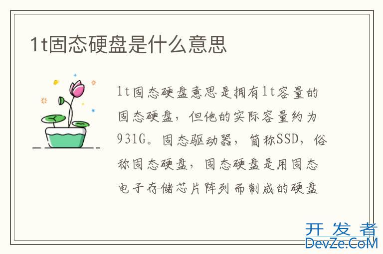 1t固态硬盘是什么意思