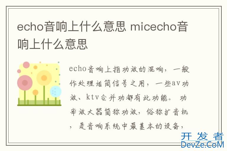 echo音响上什么意思 micecho音响上什么意思