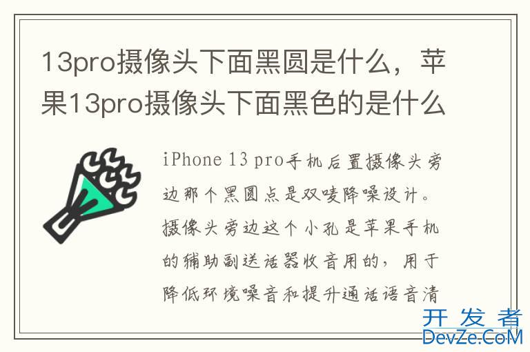 13pro摄像头下面黑圆是什么，苹果13pro摄像头下面黑色的是什么