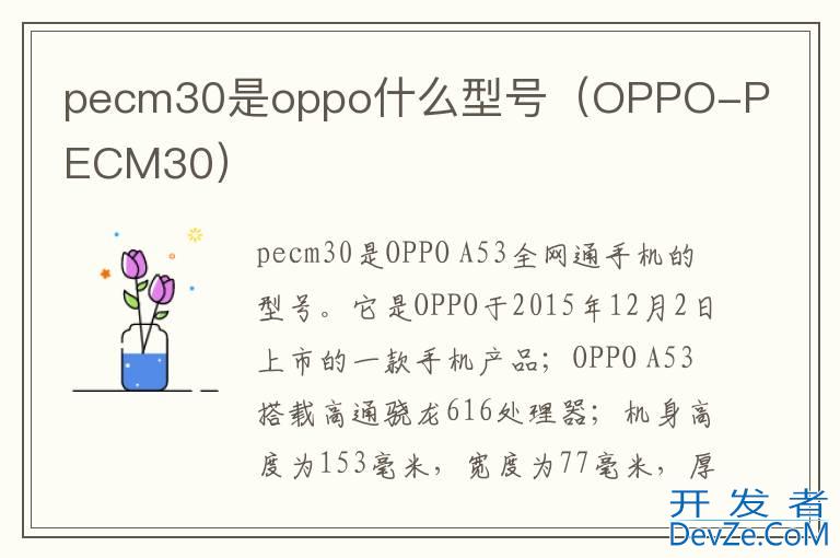 pecm30是oppo什么型号（OPPO-PECM30）