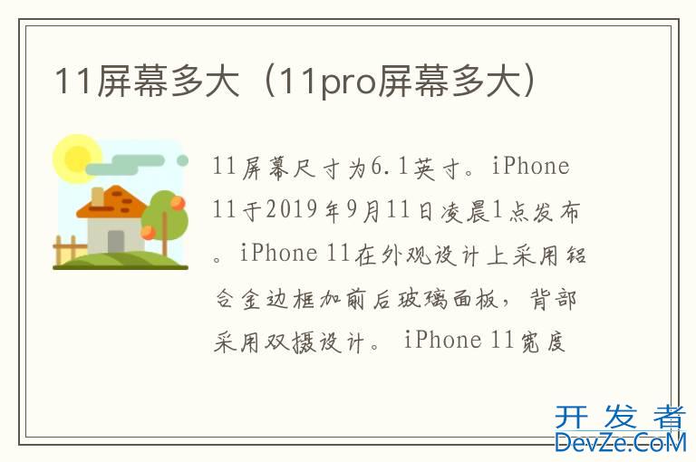 11屏幕多大（11pro屏幕多大）