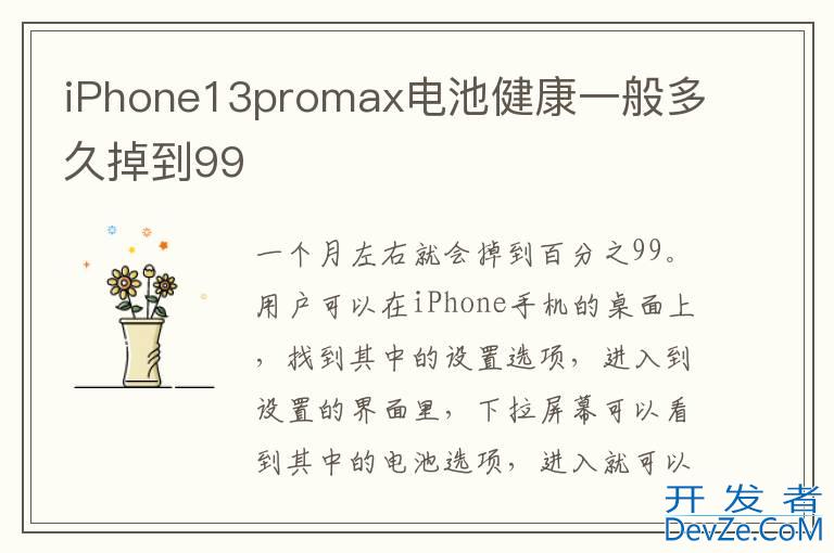 iPhone13promax电池健康一般多久掉到99