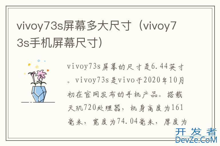 vivoy73s屏幕多大尺寸（vivoy73s手机屏幕尺寸）