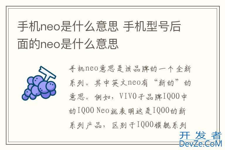 手机neo是什么意思 手机型号后面的neo是什么意思