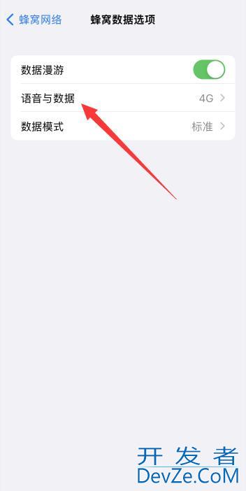 为什么iPhone13没有5g开关（iphone13找不到5g开关）