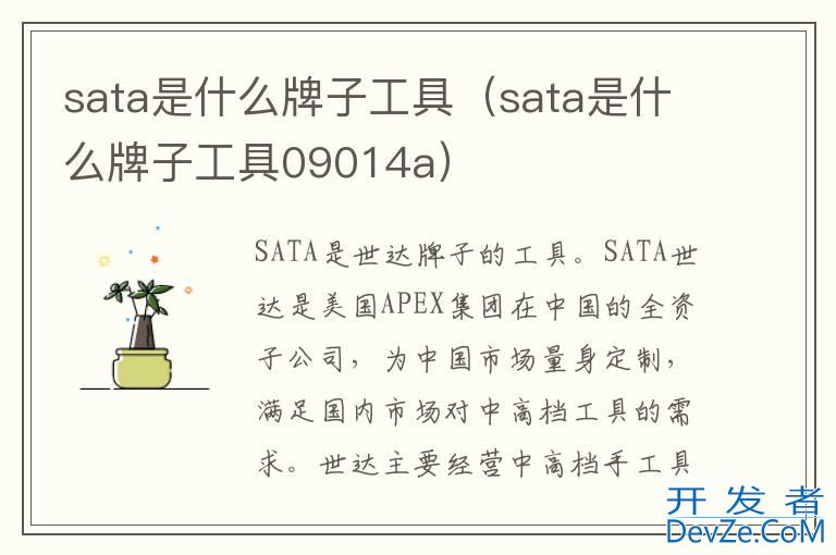 sata是什么牌子工具（sata是什么牌子工具09014a）