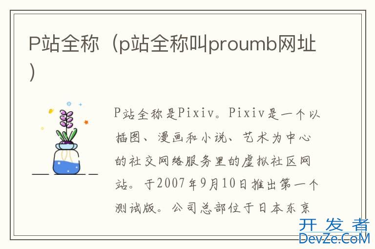 P站全称（p站全称叫proumb网址）