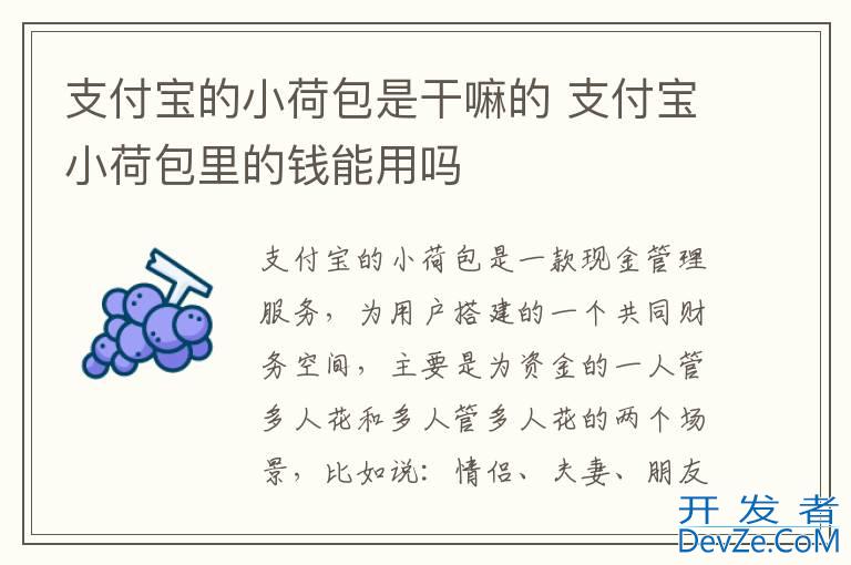 支付宝的小荷包是干嘛的 支付宝小荷包里的钱能用吗