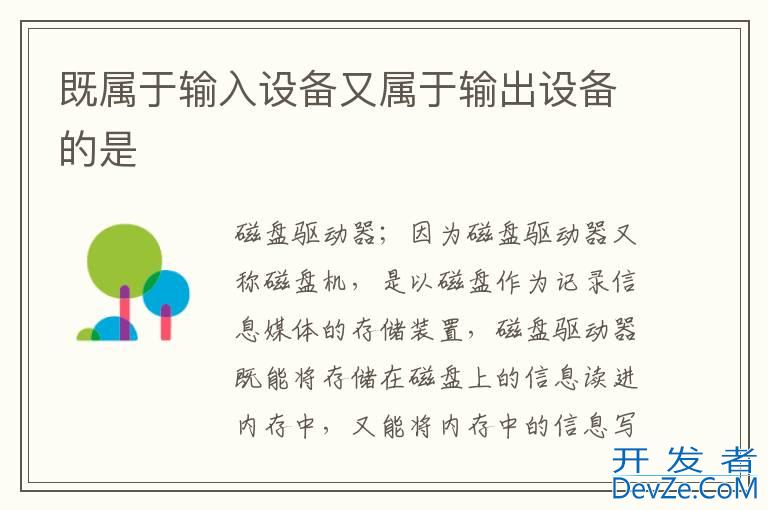 既属于输入设备又属于输出设备的是