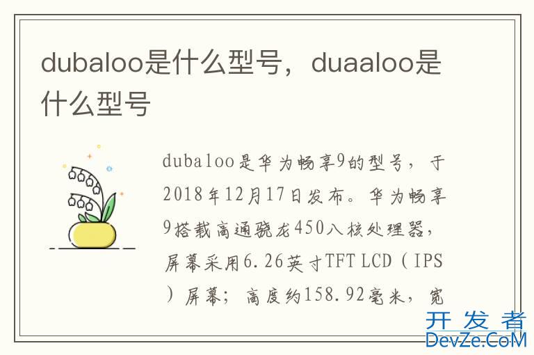 dubaloo是什么型号，duaaloo是什么型号