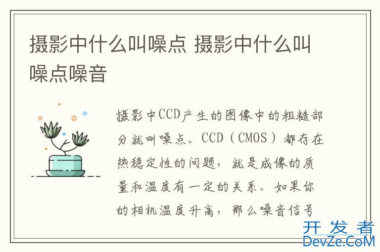 摄影中什么叫噪点 摄影中什么叫噪点噪音