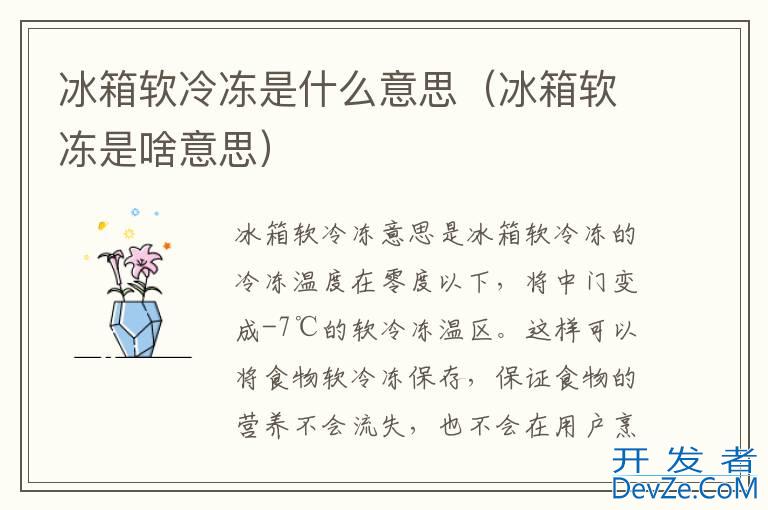 冰箱软冷冻是什么意思（冰箱软冻是啥意思）