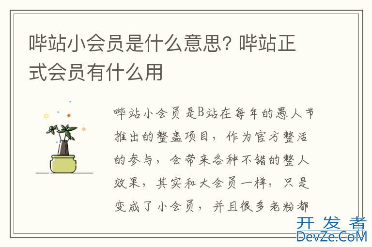 哔站小会员是什么意思? 哔站正式会员有什么用