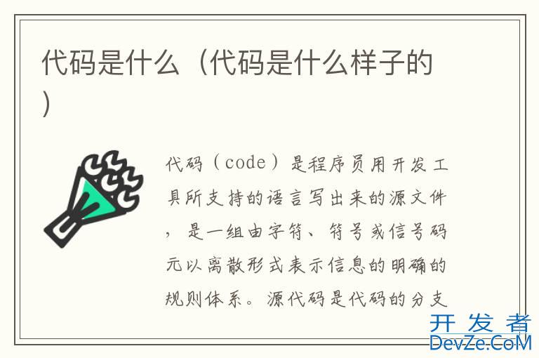 代码是什么（代码是什么样子的）