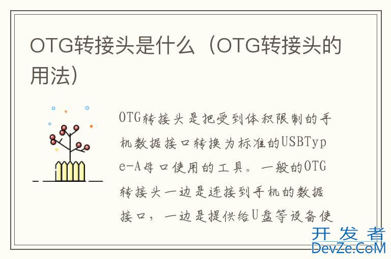 OTG转接头是什么（OTG转接头的用法）