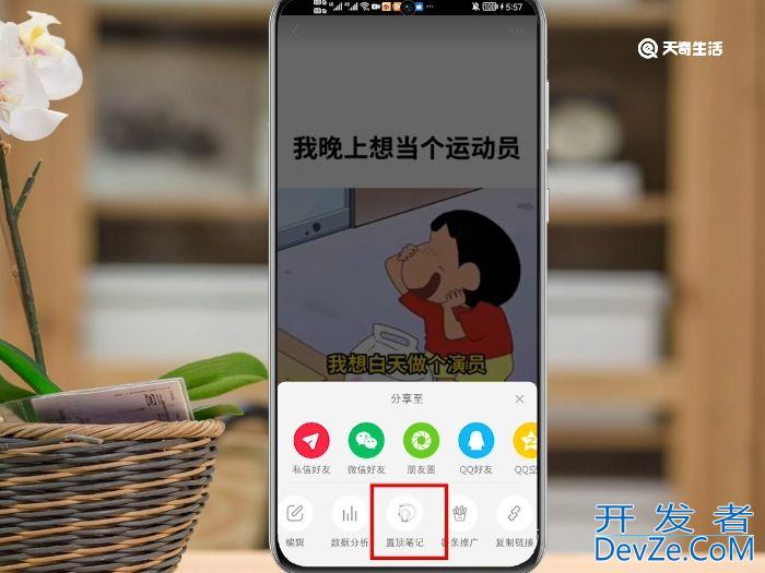 小红书怎么置顶 小红书如何置顶