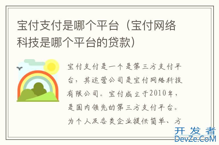 宝付支付是哪个平台（宝付网络科技是哪个平台的贷款）