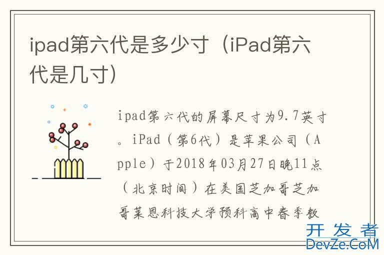 ipad第六代是多少寸（iPad第六代是几寸）