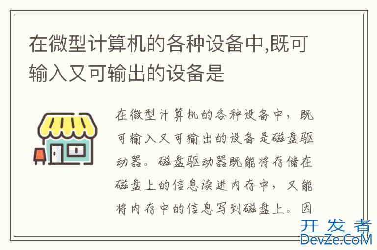 在微型计算机的各种设备中,既可输入又可输出的设备是