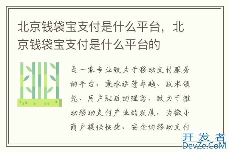 北京钱袋宝支付是什么平台，北京钱袋宝支付是什么平台的