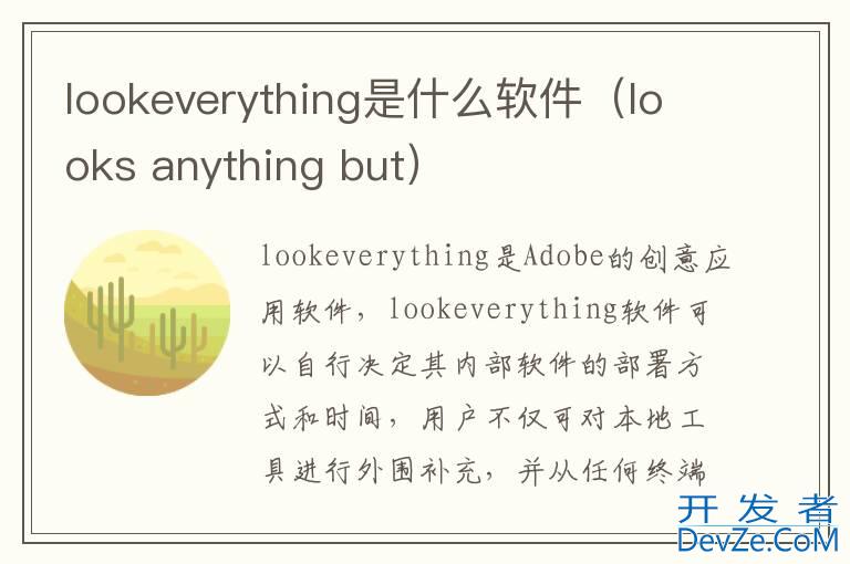 lookeverything是什么软件（looks anything but）