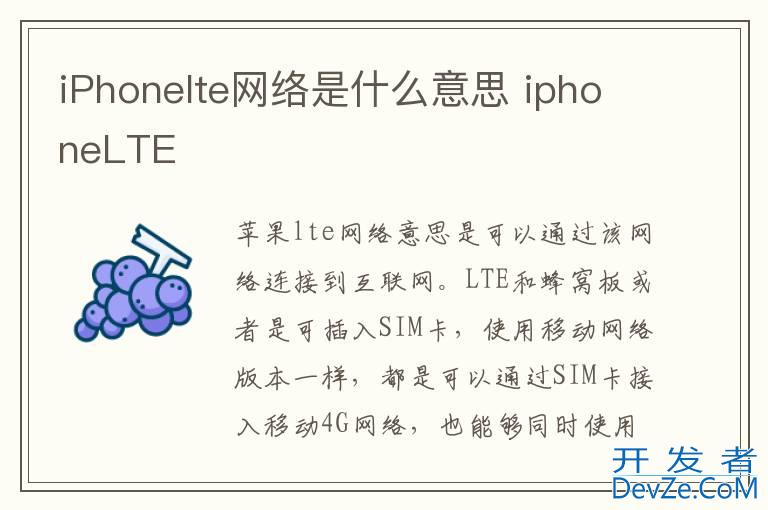 iPhonelte网络是什么意思 iphoneLTE