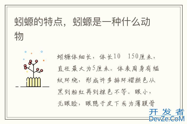 蚓螈的特点，蚓螈是一种什么动物