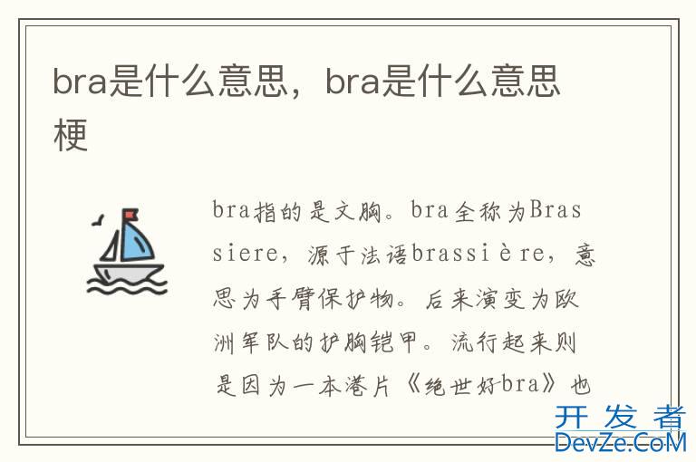 bra是什么意思，bra是什么意思梗